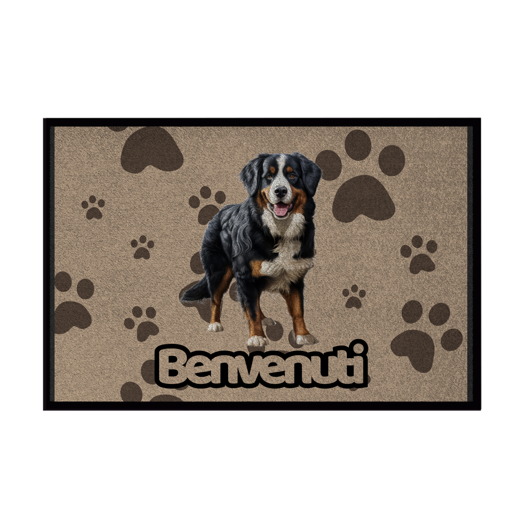 🐾  Zerbini - Collezione Cani & Gatti - Benvenuti