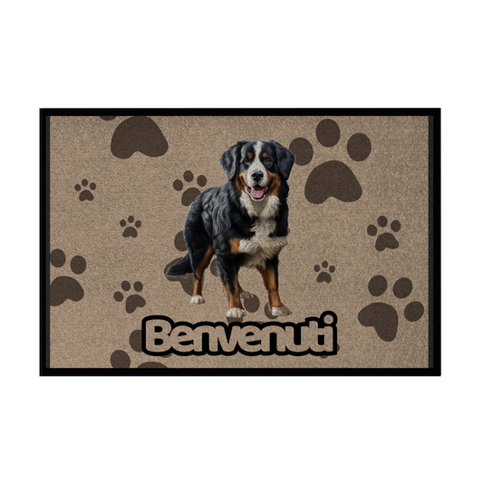 🐾  Zerbini - Collezione Cani & Gatti - Benvenuti