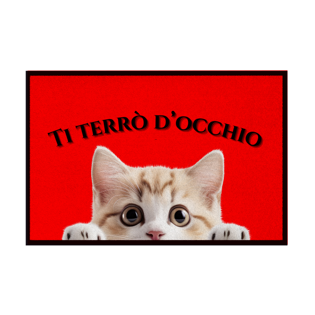 Zerbini - Collezione Cani & Gatti - Gatti curiosi