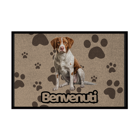 🐾  Zerbini - Collezione Cani & Gatti - Benvenuti