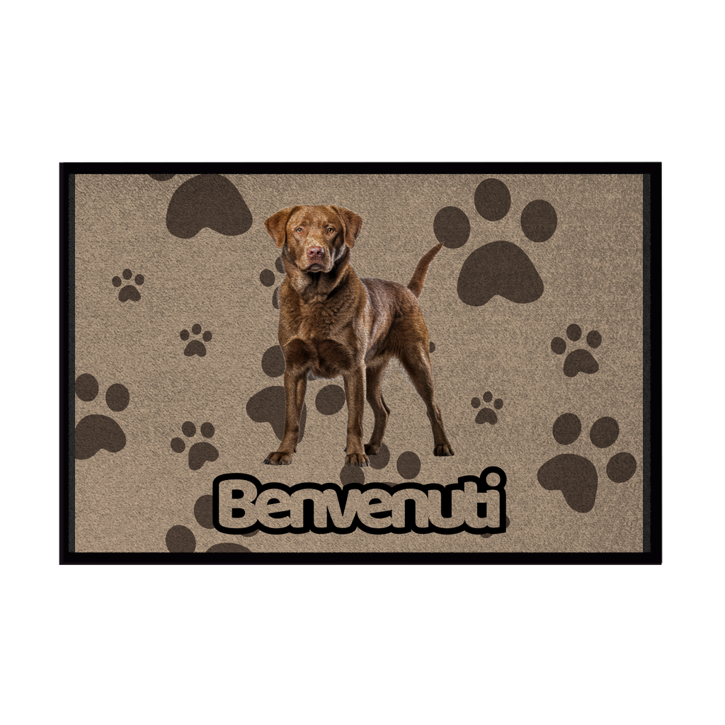 🐾 Zerbini - Collezione Cani & Gatti - Benvenuti