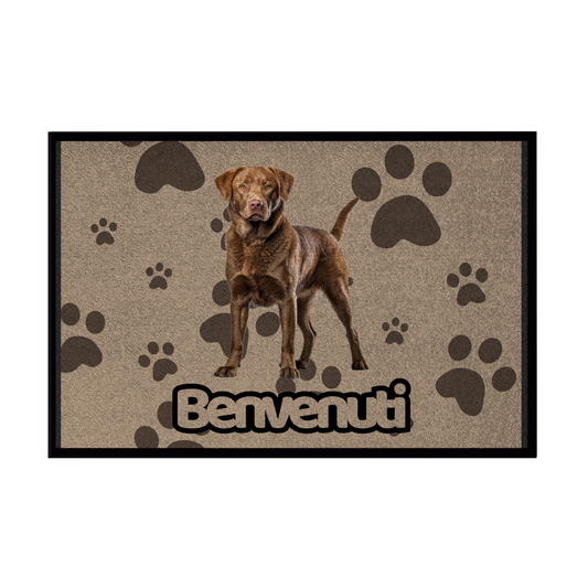 🐾 Zerbini - Collezione Cani & Gatti - Benvenuti
