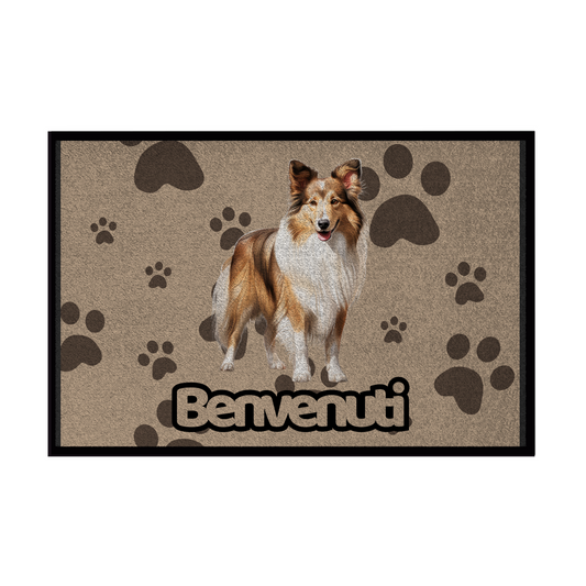 🐾 Zerbini -  Collezione Cani & Gatti - Benvenuti