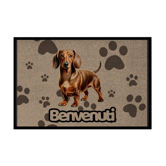 🐾  Zerbini - Collezione Cani & Gatti - Benvenuti