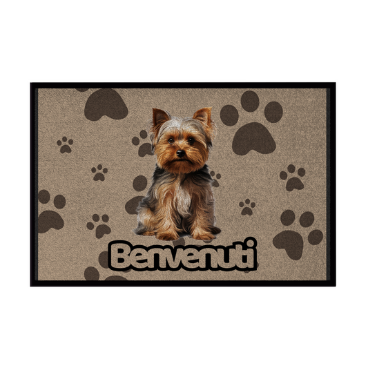 🐾  Zerbini - Collezione Cani & Gatti - Benvenuti