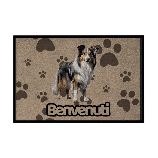 🐾  Zerbini - Collezione Cani & Gatti - Benvenuti