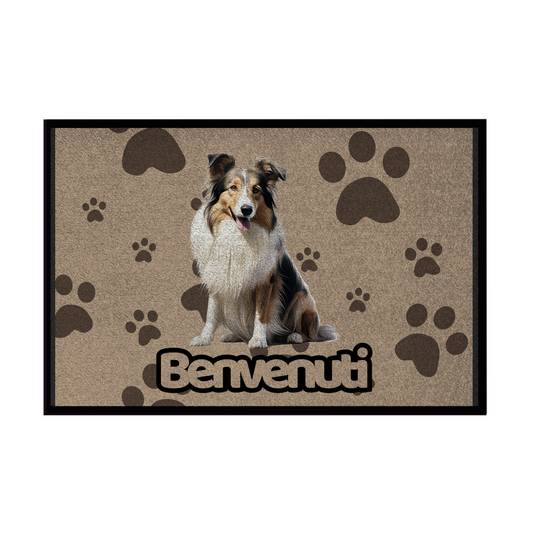 🐾 Zerbini -  Collezione Cani & Gatti - Benvenuti