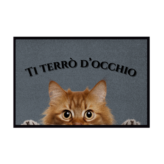 Zerbini - Collezione Cani & Gatti - Gatti curiosi