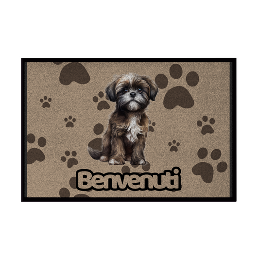 🐾  Zerbini - Collezione Cani & Gatti - Benvenuti