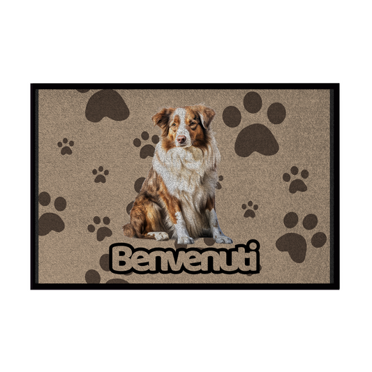 Zerbini - Collezione Cani & Gatti - Benvenuti