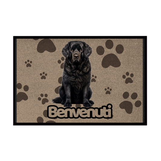 🐾 Zerbini -  Collezione Cani & Gatti - Benvenuti