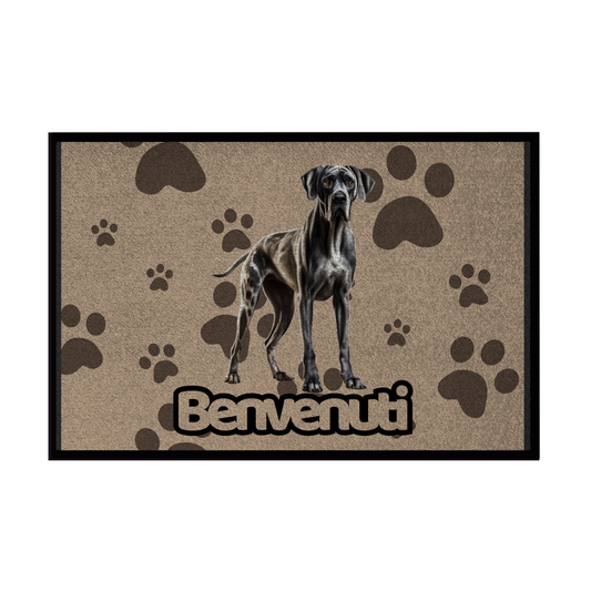 🐾 Zerbini -  Collezione Cani & Gatti - Benvenuti