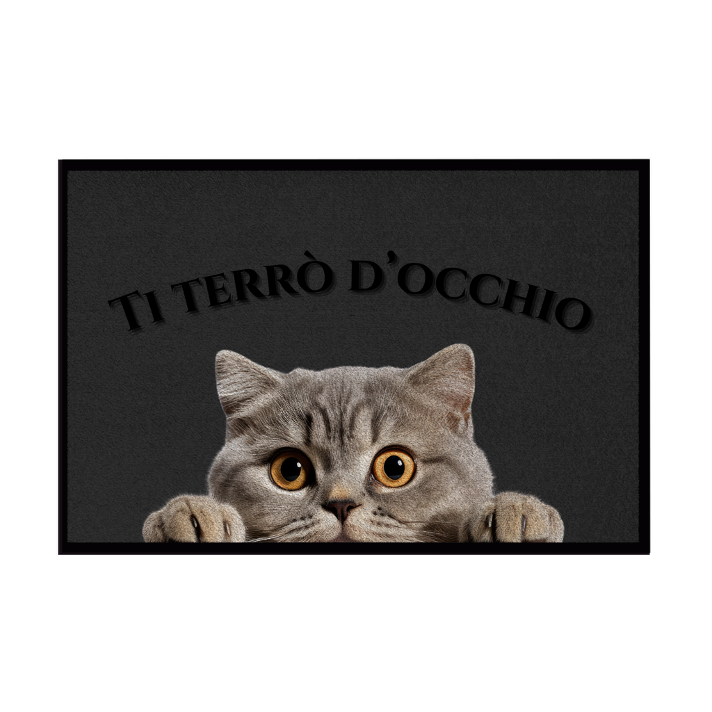 Zerbini - Collezione Cani & Gatti - Gatti curiosi