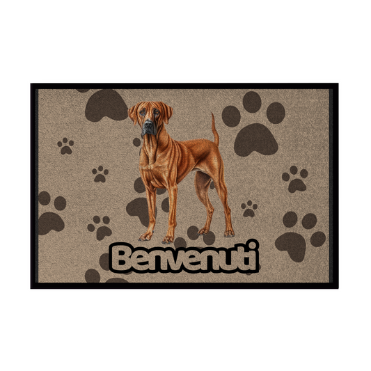 🐾  Zerbini - Collezione Cani & Gatti - Benvenuti