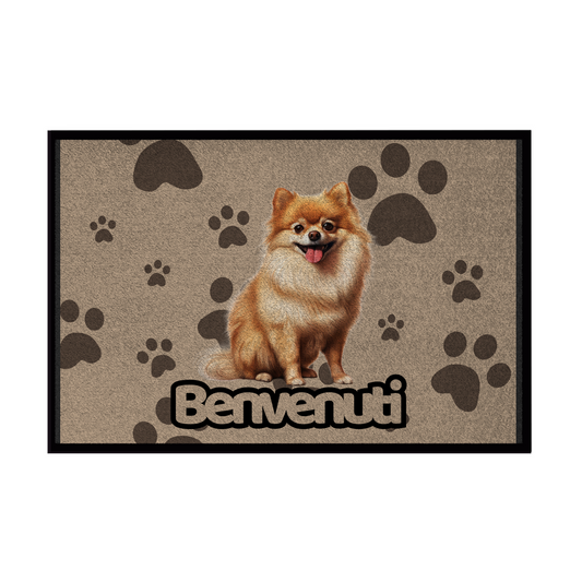 🐾 Zerbini -  Collezione Cani & Gatti - Benvenuti
