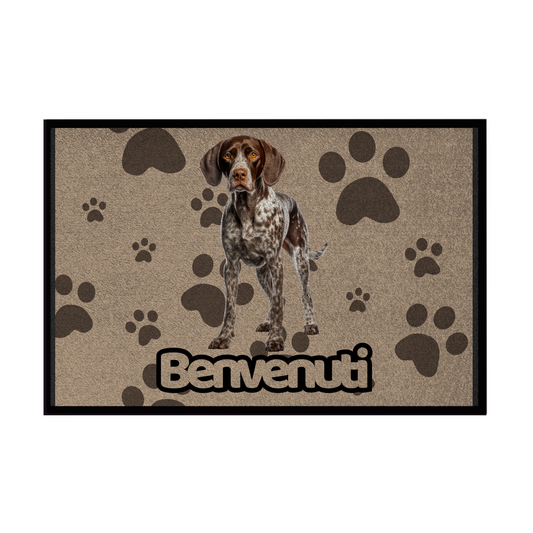 🐾 Zerbini -  Collezione Cani & Gatti - Benvenuti