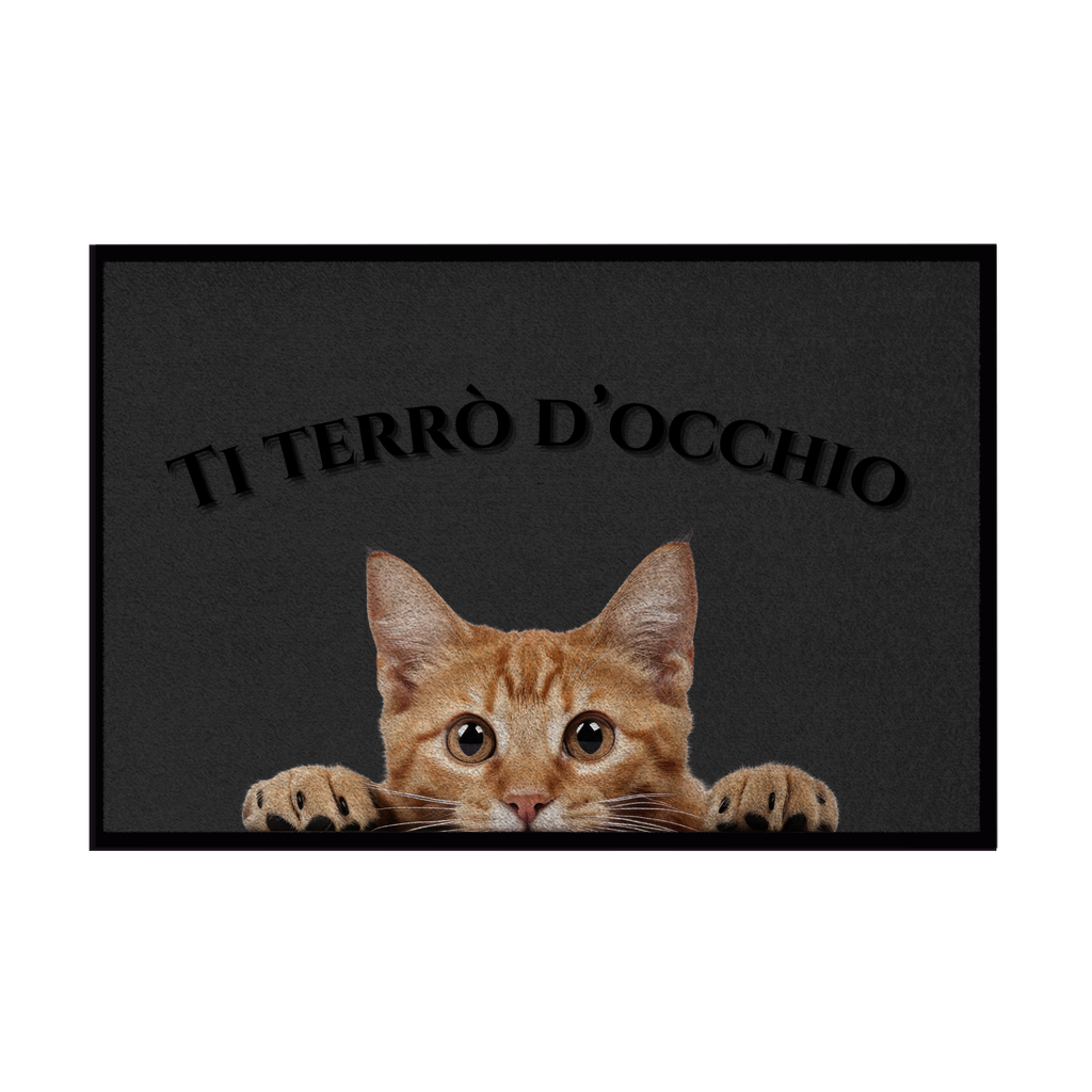 Zerbini - Collezione Cani & Gatti - Gatti curiosi