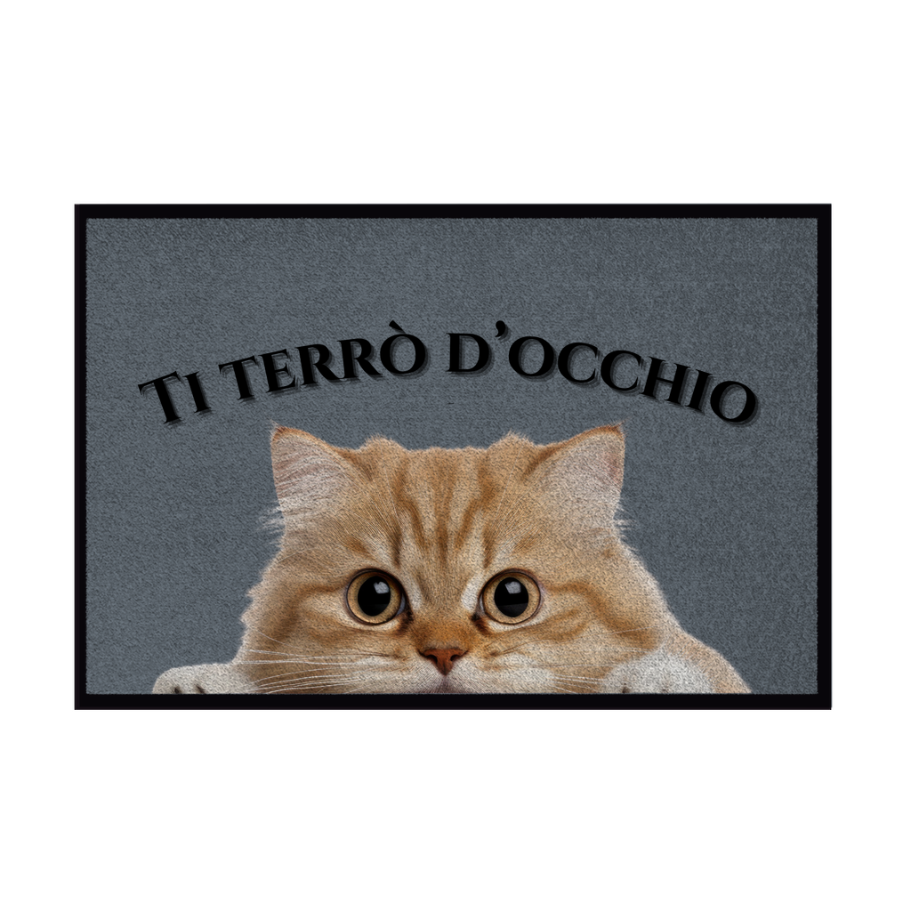 Zerbini - Collezione Cani & Gatti - Gatti curiosi
