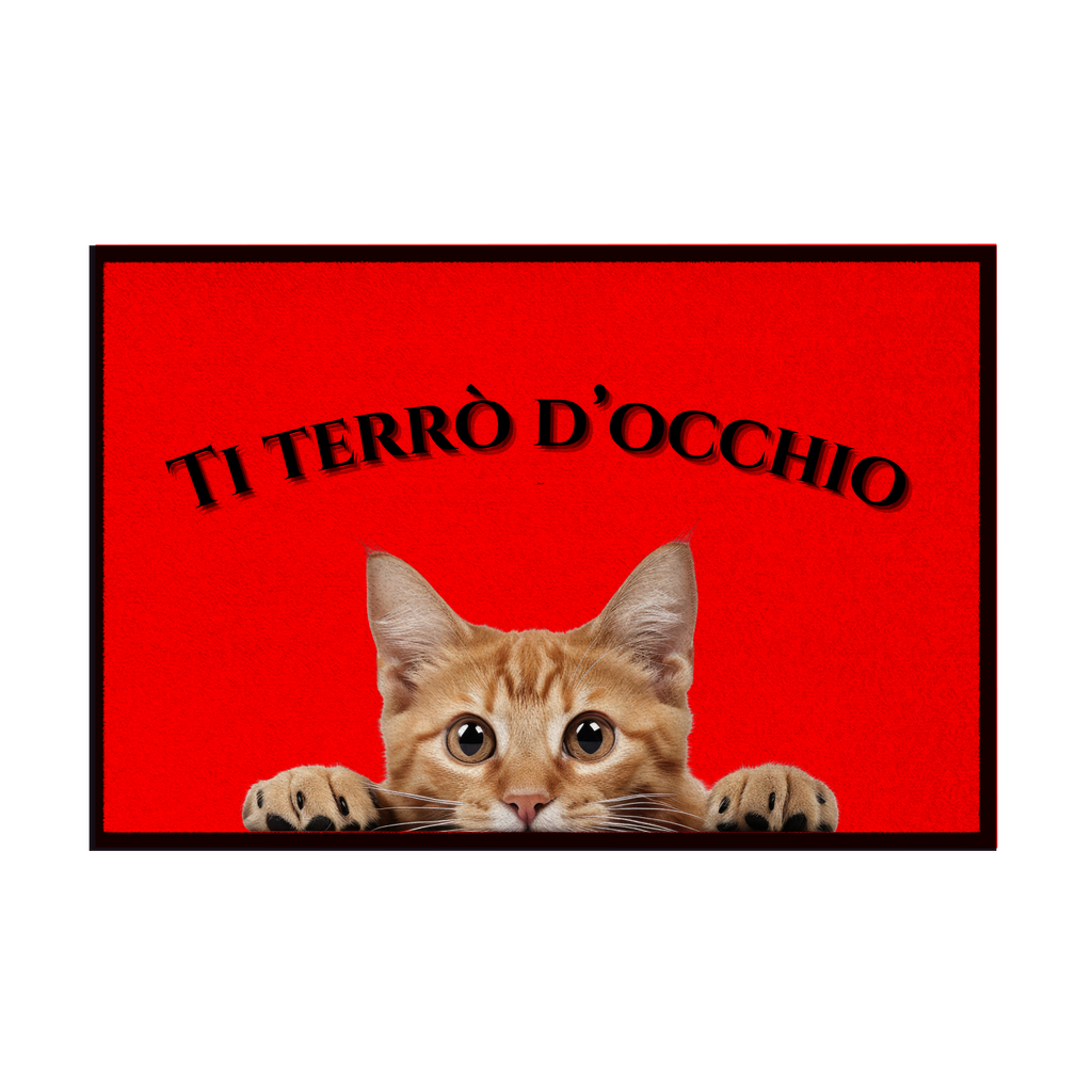 Zerbini - Collezione Cani & Gatti - Gatti curiosi