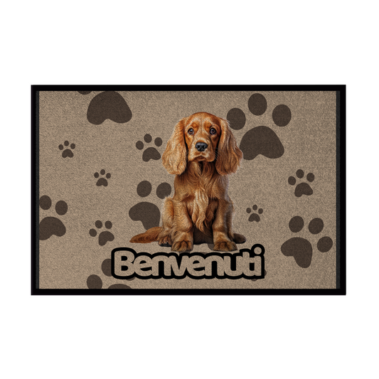 🐾 Zerbini -  Collezione Cani & Gatti - Benvenuti