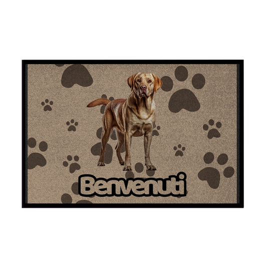 🐾 Zerbini -  Collezione Cani & Gatti - Benvenuti
