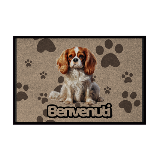 Zerbini - Collezione Cani & Gatti - Benvenuti