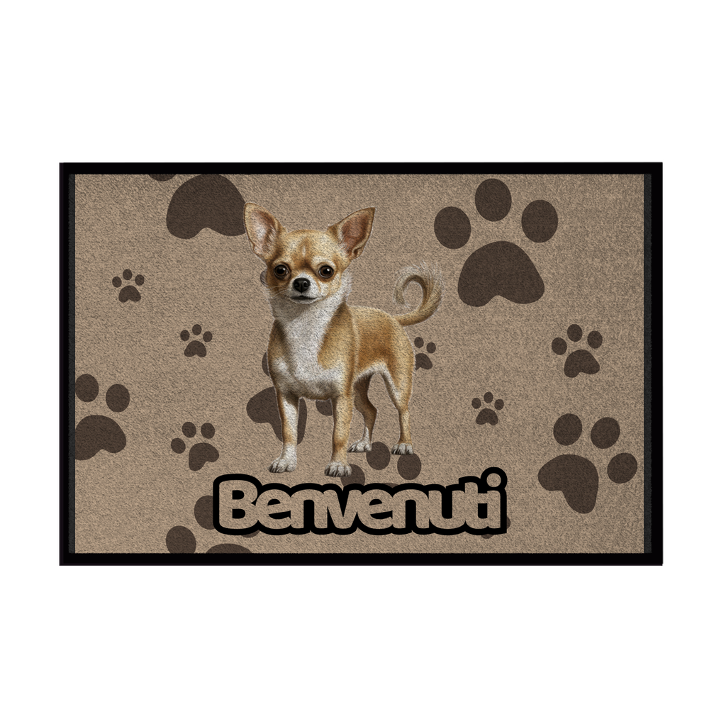 🐾 Zerbini -  Collezione Cani & Gatti - Benvenuti