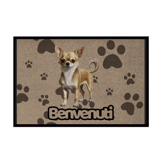 🐾 Zerbini -  Collezione Cani & Gatti - Benvenuti