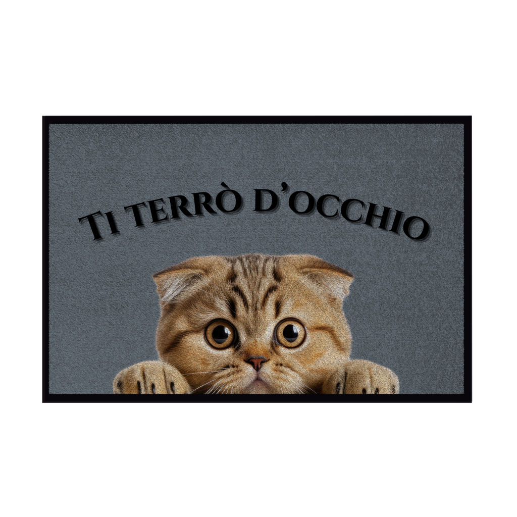 Zerbini - Collezione Cani & Gatti - Gatti curiosi