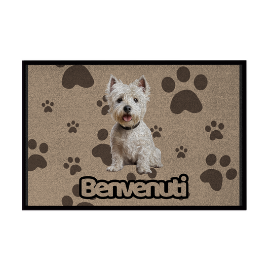 🐾 Zerbini - Collezione Cani & Gatti - Benvenuti