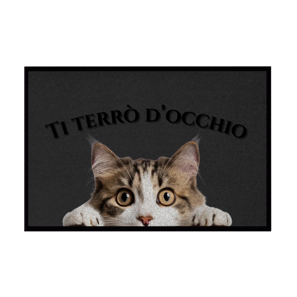 Zerbini - Collezione Cani & Gatti - Gatti curiosi