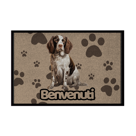 🐾  Zerbini - Collezione Cani & Gatti - Benvenuti